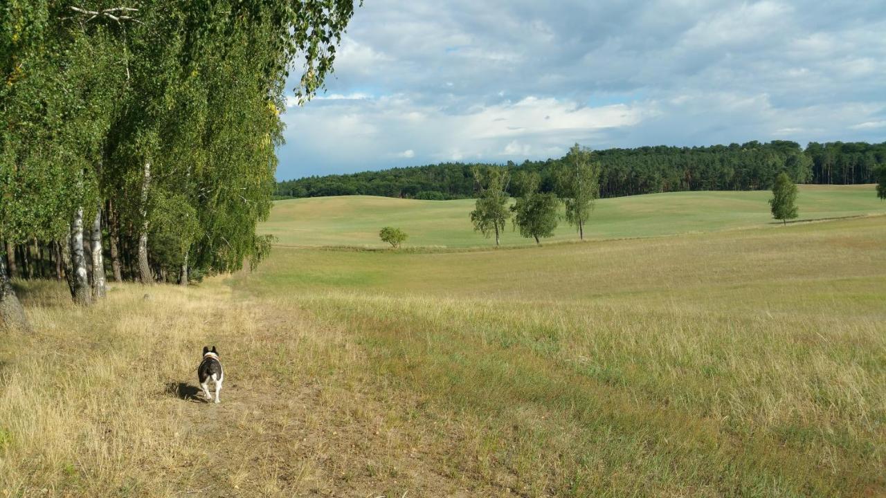 Haus An Der Pferdekoppel Am Blankenburger See Blankenburg  Esterno foto