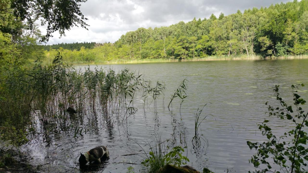 Haus An Der Pferdekoppel Am Blankenburger See Blankenburg  Esterno foto